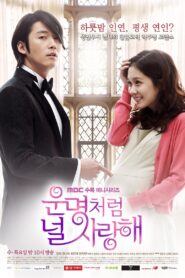 Mi Destino es Amarte: Temporada 1