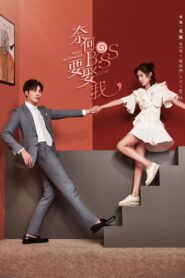 Well-Intended Love: Temporada 1