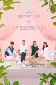Mi adorable secretaria: Temporada 1