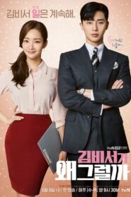 ¿Qué le ocurre a la secretaria Kim?: Temporada 1