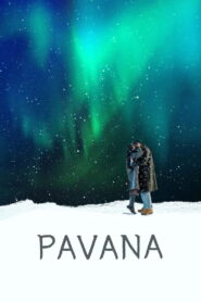 Pavana – Pelicula en español latino