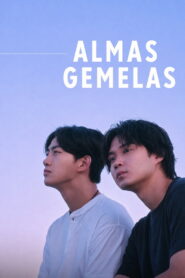 Almas gemelas – Doramas Latino